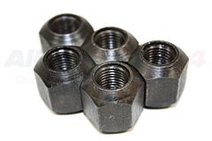 NUT - WHEEL