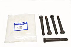 EARLY SHACKLE PIN