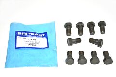 FLYWHEEL BOLT