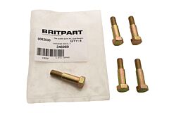 HINGE BOLT
