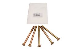 HINGE SCREW