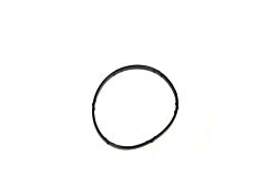 THERMOSTAT SEAL