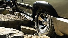 ARB Protection Step Gu Wagon To10/04