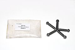 TAPPET SCREW