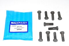 PROPSHAFT BOLT