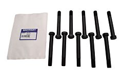 SHACKLE PIN