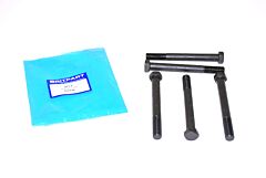 SHACKLE PIN