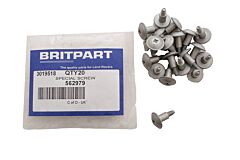 SPECIAL SCREW