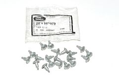 SPECIAL SCREW