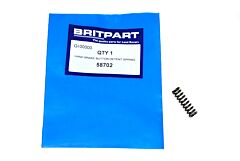 HAND BRAKE BUTTON DETENT SPRING