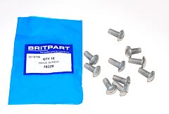 DRIVE SCREW