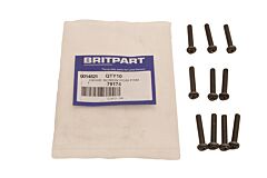 DRIVE SCREW POSI PAN