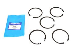 RING ELASTIC