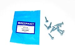DRIVE SCREW