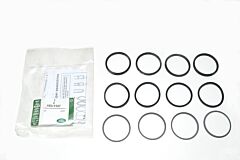 AEU1547 - KIT - CALIPER SEAL
