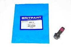 BOLT 12 PT
