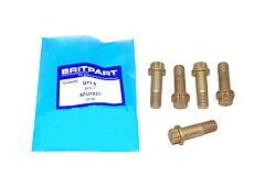 BOLT