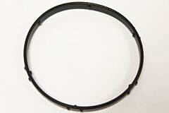 THERMOSTAT SEAL