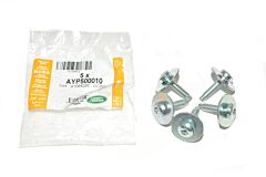 AYP500010 - SCREW AND WASHER