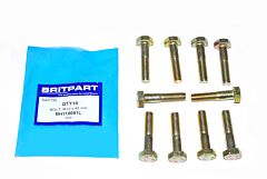 BOLT M10 x 45 mm