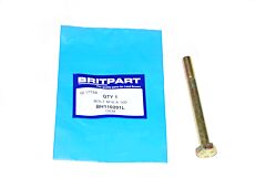 BOLT M10 X 100