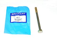 BOLT M10 X 120
