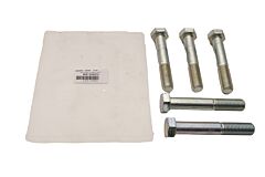 BOLT M16 x 100mm