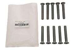 BOLT M8 x 55