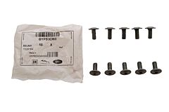BYP500360 - SCREW