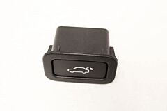 SWITCH TAILGATE/TRUNK LID