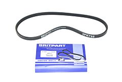 BELT PAS