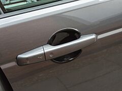 DOOR BOWL TRIM - DS15
