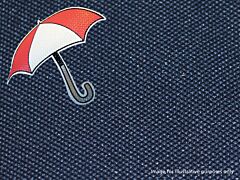 Britpart Waterproof Seat Covers - Blue - Rear - Range Rover Classic