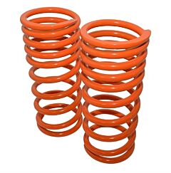 110 DEF 1 INCH LOWERED SPRINGS - REAR