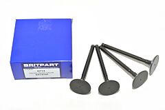 DIESEL INLET VALVE