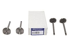 PETROL INLET VALVE