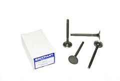 PETROL EXHAUST VALVE