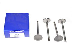 INLET VALVE