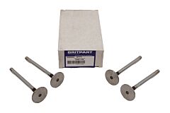 EXHAUST VALVE