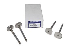 INLET VALVE