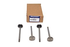 EXHAUST VALVE DIESEL