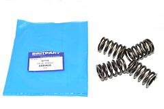 VALVE SPRING