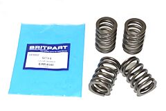 VALVE SPRING