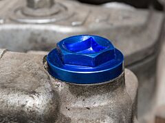 FILLER PLUG ALLOY BLUE INC O RING