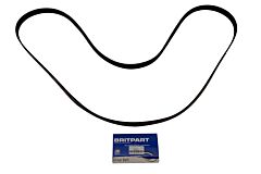 BELT-VEE-PAS