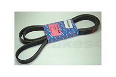 DRIVE BELT - ALTERNATOR - V8