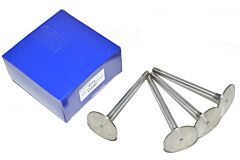 INLET VALVE 2.25 PETROL