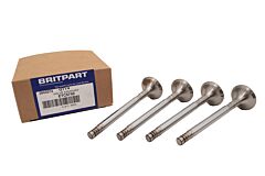 VALVE EXHAUST