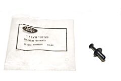 EYQ100120 - RIVET - SPECIAL