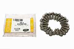 FS105166 - SCREW